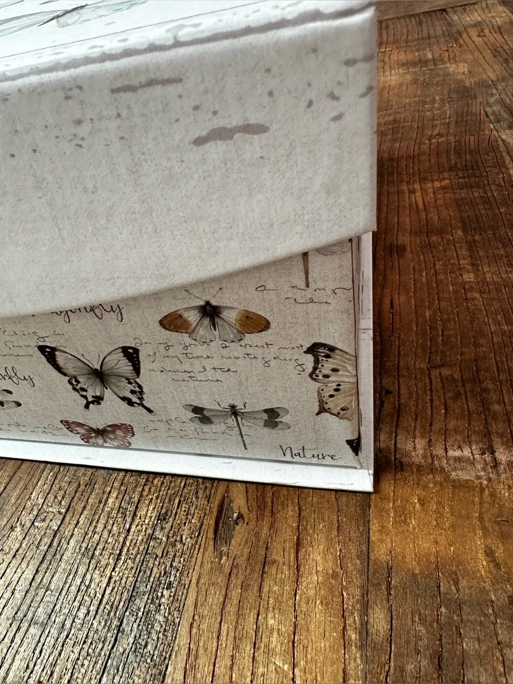 Wings Butterfly gift box Art - Neutral Cream & Tan